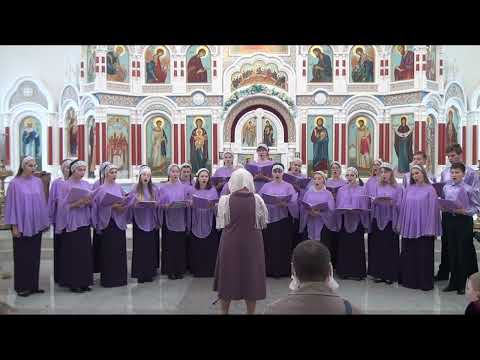 Видео: «Улетели журавли» С. Плешак, сл. Е. Благининой