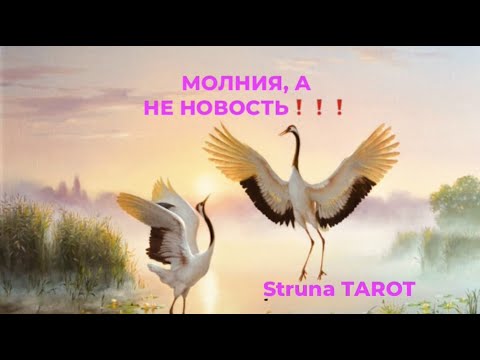 Видео: 🔥МОЛНИЯ, А НЕ НОВОСТЬ❗️❗️❗️🔥