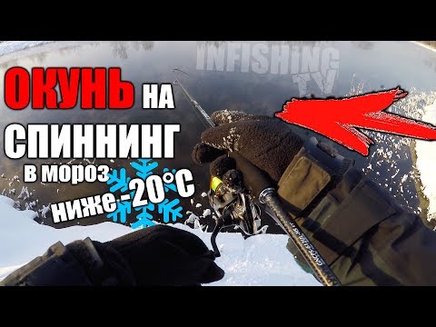Видео: Ловля ОКУНЯ ЗИМОЙ НА СПИННИНГ в мороз ниже -20°C. СО1Л. Part 36