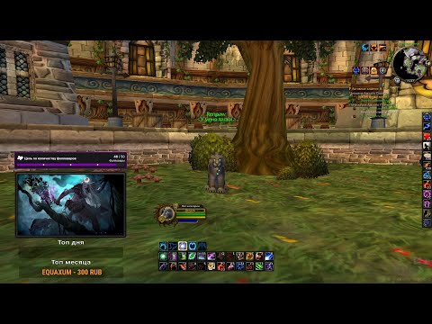 Видео: Путь друида на WoW Sirus — день 27