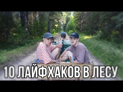 Видео: 10 Лайфхаков в лесу