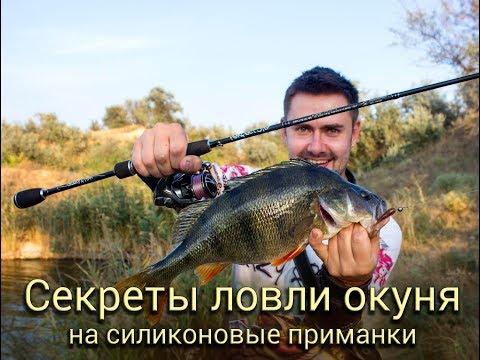 Видео: Ловля окуня на силиконовые приманки: советы и секреты [Crazy Fish]