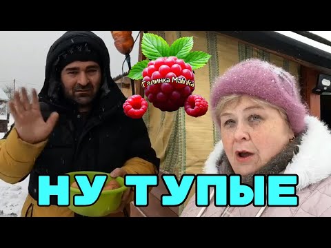 Видео: Ольга Уралочка live / Ну тупые /Обзор /Уралочка и Сафар