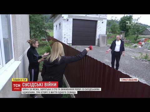 Видео: Сусідські війни на Тернопільщині перетворила кумів на затятих ворогів