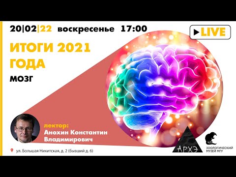 Видео: Константин Анохин: "Мозг: итоги 2021 года"