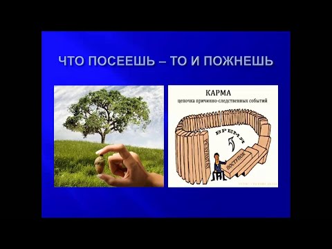 Видео: Мысли о законах Вселенной