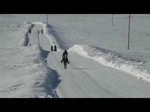 Видео: Байге Кокпекты