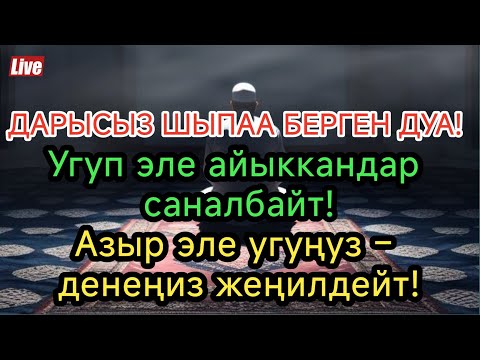 Видео: МИҢДЕГЕН АДАМДАР ДАРЫСЫЗ АЙЫГЫШТЫ! Пайгамбардын дубасы керемет кылды!
