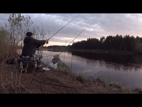 Видео: Открытие фидерной рыбалки 2023/ Первые лещи