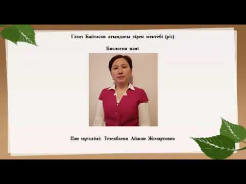 Видео: Жануарлардағы қанайналым мүшелері: буылтық құрттар, ұлулар, буынаяқтылар және омыртқалылар.