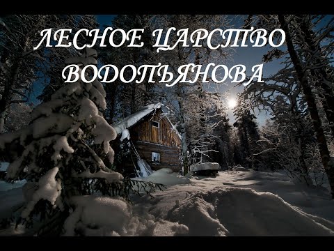 Видео: ЛЕСНОЕ ЦАРСТВО ВОДОПЬЯНОВА