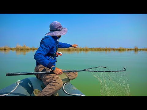 Видео: ОГРОМНОЕ ОЗЕРО ПОЛНО ТРОФЕЙНЫМИ САЗАНАМИ,НА ТАКОЙ РЫБАЛКЕ НЕ СДЕРЖАТЬ ЭМОЦИЙ