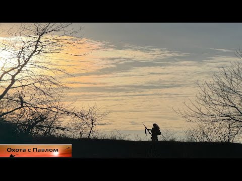 Видео: Охота на хищника. Лучшее за годы...