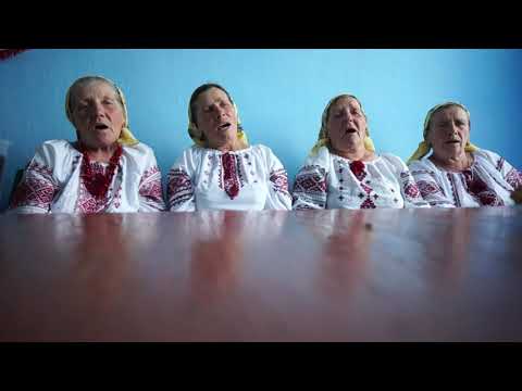 Видео: Рости, рости, черемшино, широко сі розростай,  Чортовець 2019