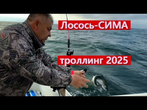 Видео: Лосось -СИМА троллинг 2025