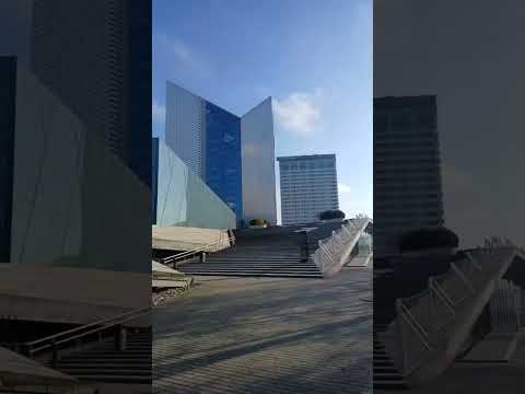 Видео: Прогулка с Сержиком от пр . Конституции , через Белый  Мост , до пл. Лукишкю в Вильнюсе 7 11.25 LT 