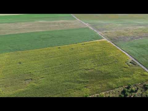 Видео: Българево - дълъг полет