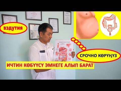 Видео: Ичиңиз көөп жатабы тез көрүңүз!