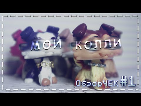 Видео: LPS - ОбзорЧЕК #1 | Обзор на всех моих колли