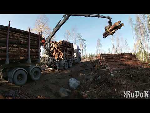Видео: Работа на лесовозе с гидроманипулятором.