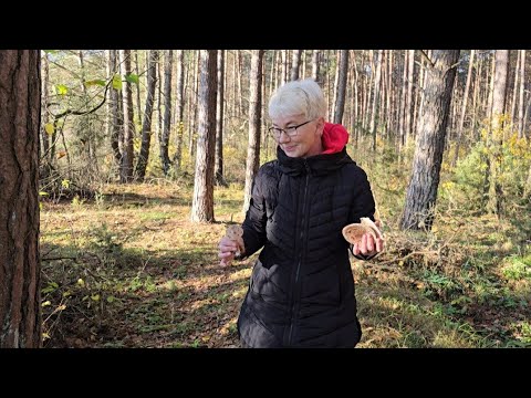 Видео: Находки археолога. Шикарные закаты. В лес за грибами. #271 