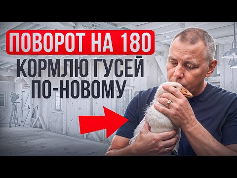Видео: Поворот на 180°! Как я полностью изменил корм для гусей🔄🦆 #МоеПодворье