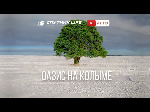 Видео: Магадан. Фермер на Колыме. Галина Козичева  113 выпуск Cпутник LIFE