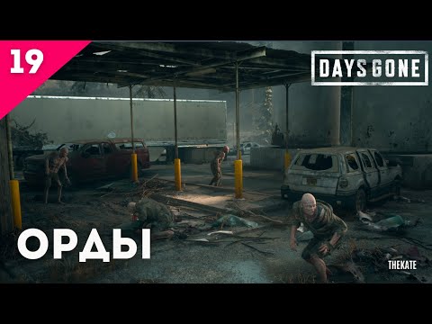 Видео: ➤ DAYS GONE (ЖИЗНЬ ПОСЛЕ) - ПРОХОЖДЕНИЕ №19 ЗАЧИСТКА ОРД #daysgone #daysgoneстрим