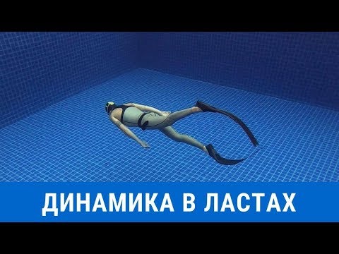 Видео: Фридайвинг Тренировка в Ластах для Начинающих