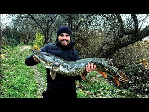 Видео: Твічінг Воблерів. ТРИ фішки про які Ви не знали!