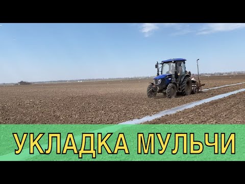 Видео: 3 действия при укладке мульчи для дыни