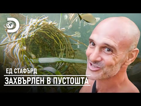 Видео: Риболов с термити | Ед Стафърд - захвърлен в пустошта