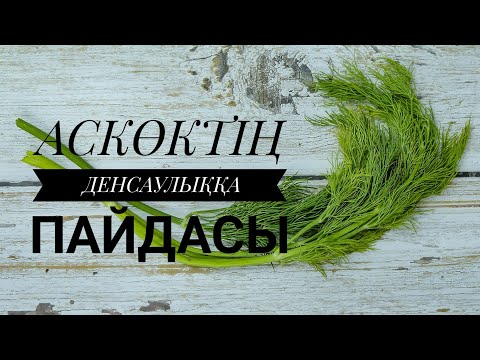 Видео: АСКӨКТІҢ (УКРОП) ЕШКІМ БІЛМЕЙТІН ЕМДІК ҚАСИЕТІ. #ем #аскөк#укроп#қазақша#аскөктің пайдасы