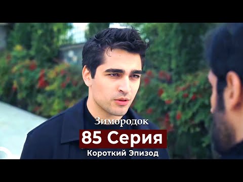 Видео: Зимородок 85 Cерия (Короткий Эпизод) (Русский дубляж)