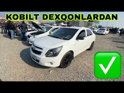 Видео: 10 ноябр Андижон машина бозори коблт нархлари Andijon mashina bozori kobilt narxlari 9 Noyabr