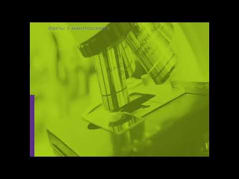 Видео: 5 признаков того, что в корме микотоксины