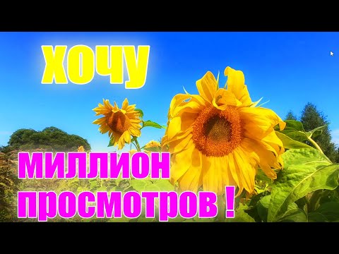 Видео: Хочу миллион просмотров, я бы получил огромное удовлетворение!