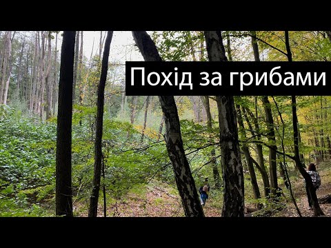 Видео: Похід в ліс з друзями. Знайшли гриби, заброшку і картоплю)))