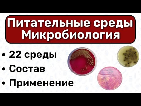 Видео: Питательные среды МИКРОБИОЛОГИЯ: виды питательных сред, применение питательных сред, состав