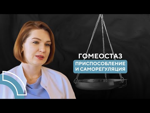 Видео: Гомеостаз, приспособление и саморегуляция