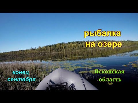 Видео: Щучья рыбалка на Окуня на озере Псковская область в солнечный день