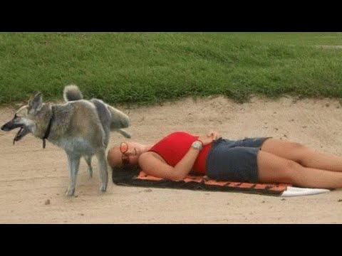 Видео: РУССКИЕ ПРИКОЛЫ 2023 ЛУЧШИЕ ДО СЛЕЗ  😂 30 Минут смеха 2023 Смешные видео Лучшие Лютые ПРИКОЛЫ #9