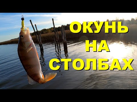 Видео: Ловля окуня в Финляндии у столбов на Финском заливе в начале октября