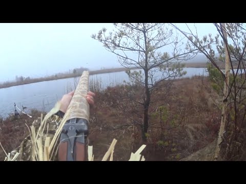 Видео: Открытие охоты 2025 Охота с подсадной
