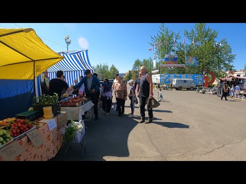 Видео: ПАЛАТКА ПЕШКОМ.  Часть 2.  Июнь 2023.  Новая Палатка