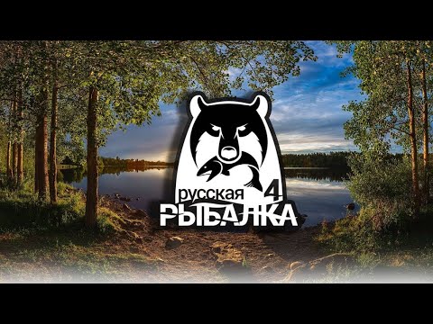 Видео: Русская Рыбалка 4 cтрим играем и ловим