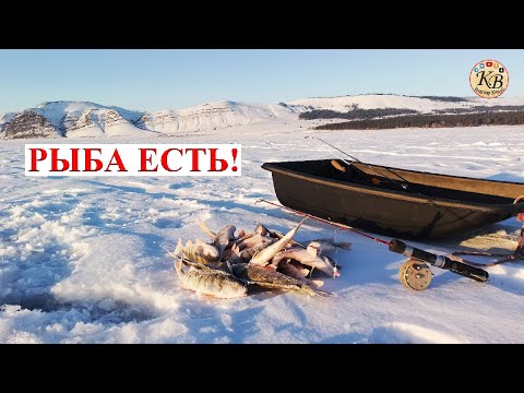 Видео: ОКУНЬ ЕСТЬ! Рыбалка на Красноярском водохранилище!