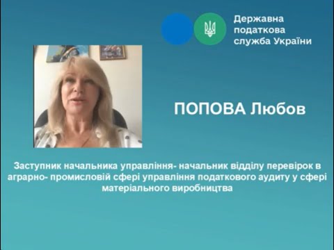 Видео: Податкові перевірки