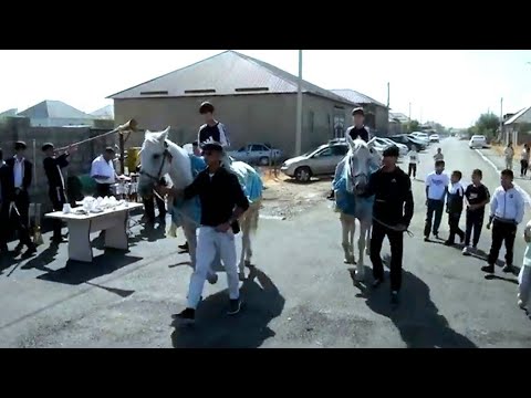 Видео: Үйге тай әкелу тойдың алдында