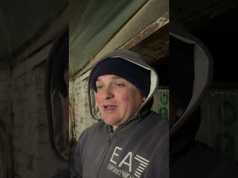 Видео: Відгодівля🐷🔝гранульованим комбікормом 2міс.10днів-5місяців(150-160кг/кола👍👍👍🇺🇦🇺🇦🇺🇦)